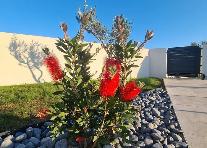 New Angelo 2025, Family And Pet Friendly *