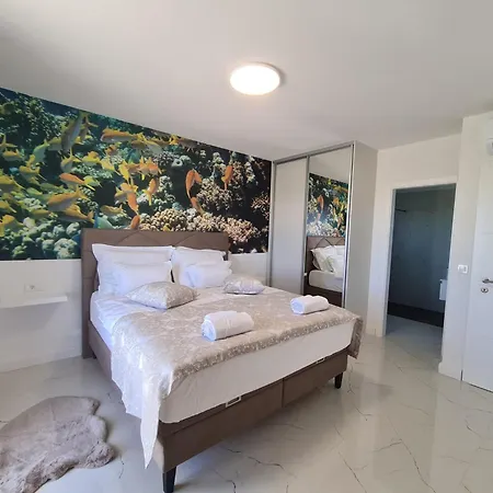 New Angelo 2025, Family And Pet Friendly