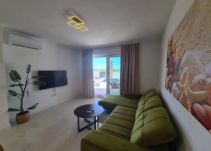 New Angelo 2025, Family And Pet Friendly